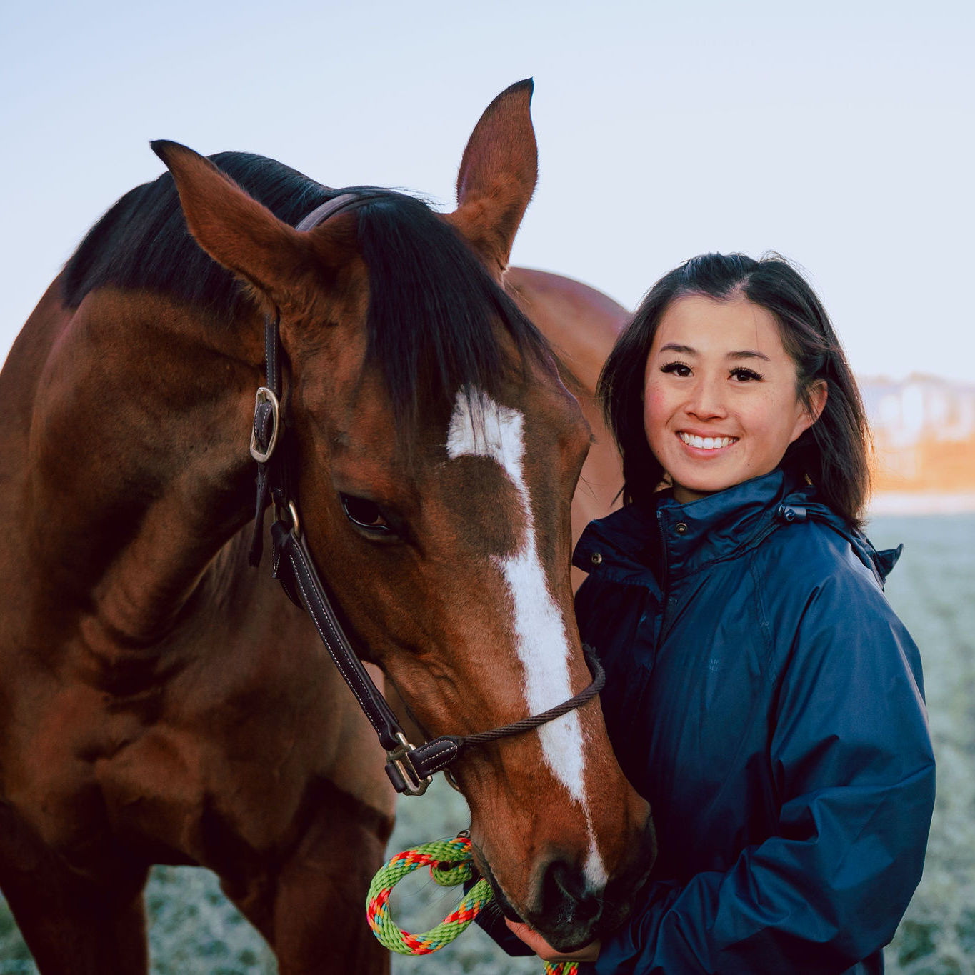 Adele Wong Horizon Equine